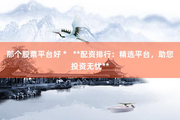 那个股票平台好 *   **配资排行：精选平台，助您投资无忧**