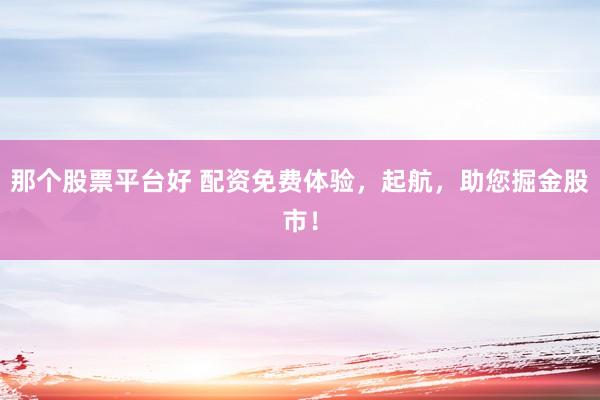 那个股票平台好 配资免费体验，起航，助您掘金股市！