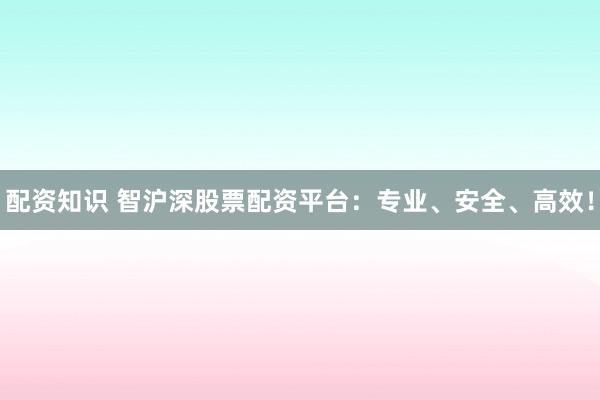 配资知识 智沪深股票配资平台：专业、安全、高效！