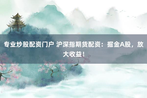 专业炒股配资门户 沪深指期货配资：掘金A股，放大收益！