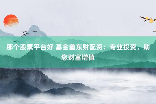 那个股票平台好 基金鑫东财配资：专业投资，助您财富增值