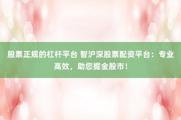 股票正规的杠杆平台 智沪深股票配资平台：专业高效，助您掘金股市！