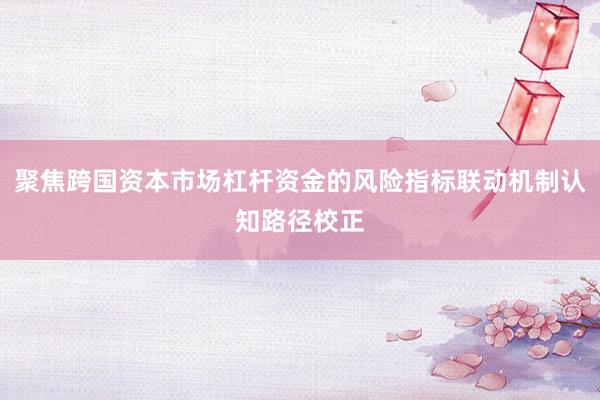 聚焦跨国资本市场杠杆资金的风险指标联动机制认知路径校正