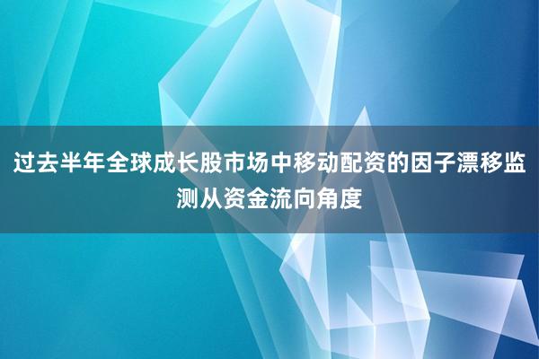 过去半年全球成长股市场中移动配资的因子漂移监测从资金流向角度